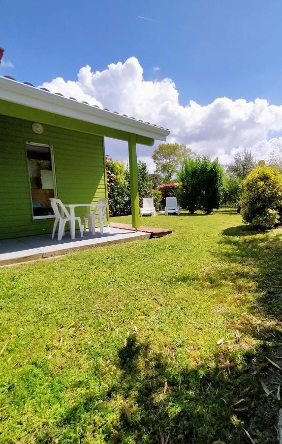 Gite Avec Piscine Et Espace Bien-Etre Partages Entre Bordeaux Et Lacanau Ocean (Adults Only) Brach Eksteriør bilde
